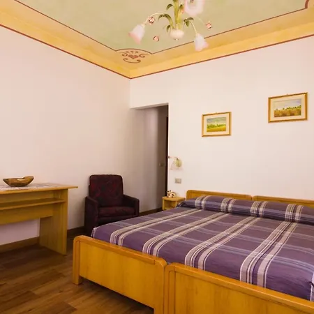 Hotel Centrale 阿莱盖