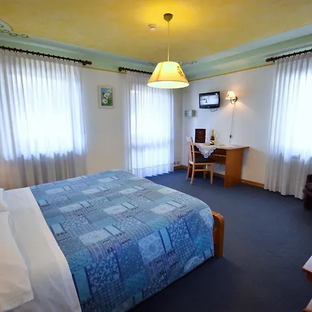 Hotel Centrale 3* 阿莱盖