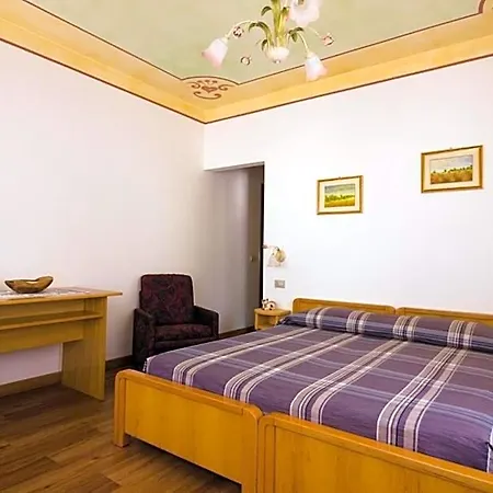 Hotel Centrale מלון אלגה